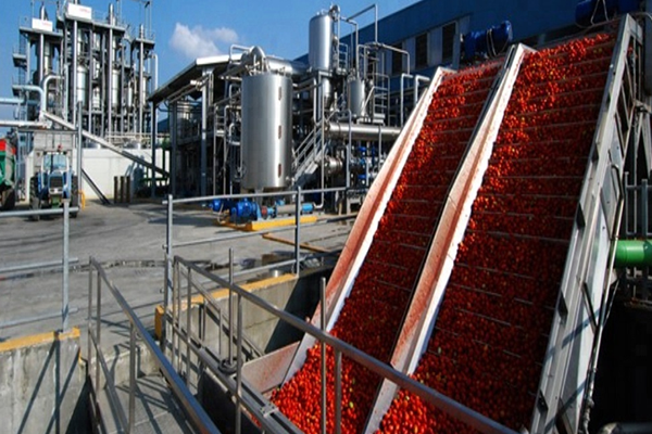 Salça ve Soslar Sektörü Endüstriyel Pompa modelleri - Fiber Pump Makina